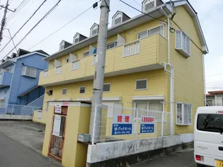 ピオーネ竜王の画像