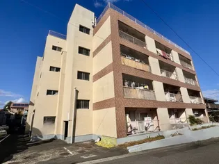 アリュール荘園II【3階】の外観