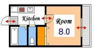 新京パレス【2号室タイプ】【1階】の間取り