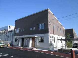 マリ ソル若葉の画像