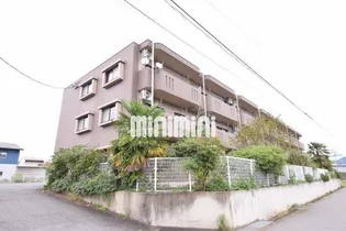 カメリアガーデンの画像