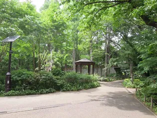 アルバア目黒本町の周辺