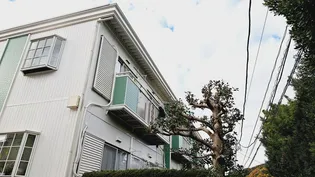 神奈川県三浦郡葉山町堀内【アパート】の外観