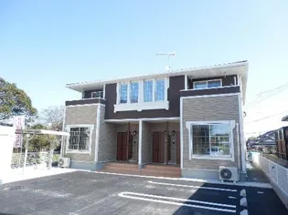 エヴァーグリーン植野Dの画像