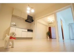 ルチェーレ泉の画像