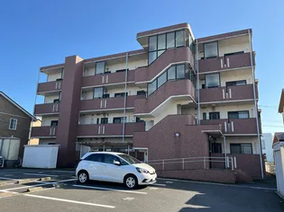 リュエルの画像