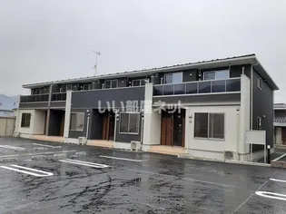 プリムラの画像