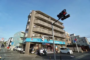 サクラビアIIIの画像