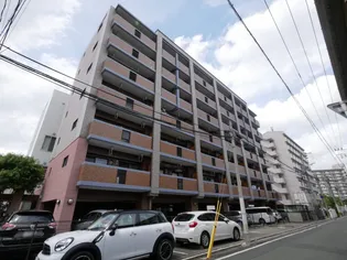 カサソラーレの画像