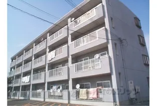 モラーダアオキの画像