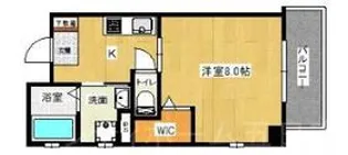 D.siel楽々園【7階】の間取り