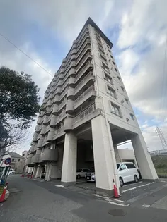 リバーパーク桜木【9階】の外観