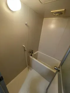 アドニス芝塚【4階】の風呂