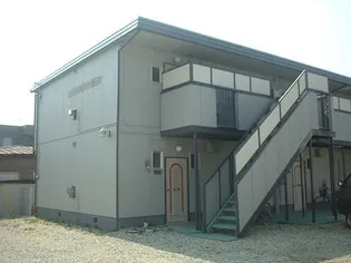 マロニエの画像