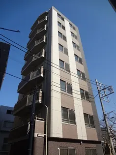 STELLA SENDAIZAKAの画像