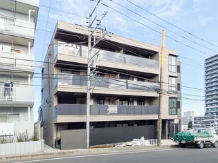 シエロエストレラードの画像