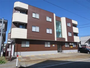 サンライズタカナオの画像