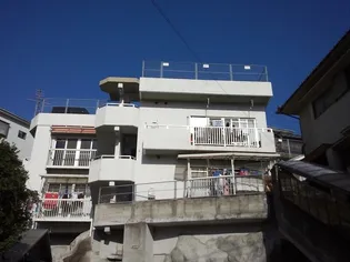 ゼンザピアの画像