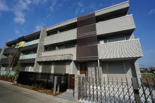 オルテンシアの画像