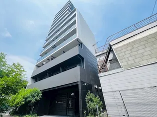 MAーRO SENJU CREST TAPPの画像