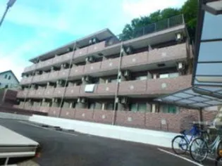 スターダスト晴貞の画像