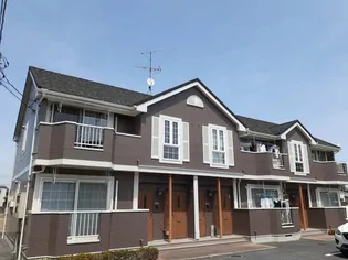 ソルフィー Dの画像