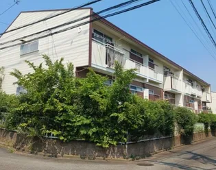 スプルースIVの画像