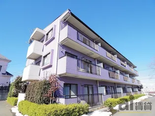 埼玉県富士見市大字水子【マンション】の外観