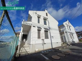 エバグリーンBの画像