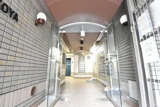 グローバル猫屋の画像