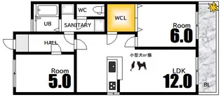 バリュービル観音【8階】の間取り