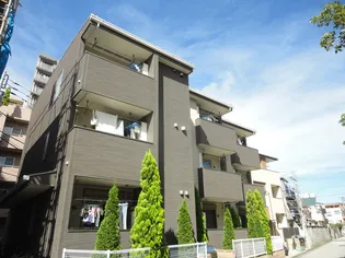 SUNRISE SHELLの画像