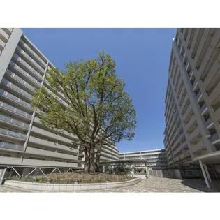 シティコート目黒2号棟【2階】の外観