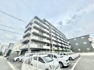 グレイス辻本の画像