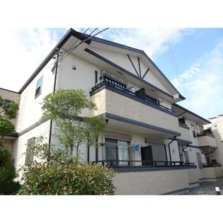 グーガ青井の画像