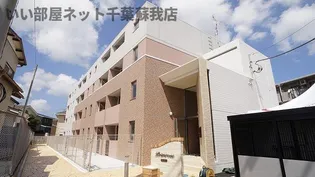 プリムローズ51の画像