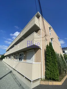 プルメリア グレイスの画像