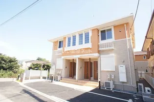 マーケリーCの画像