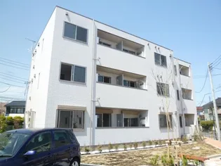 ラシーネ扇サクラの画像