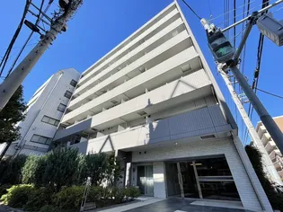 パティーナ菊川の画像