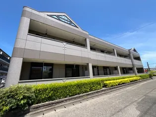 マーヴェラス Nの画像