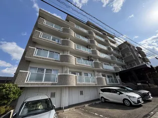 黒松クレストの画像