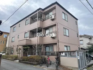 モデーロ花栗の画像