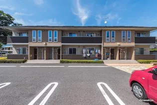 プライマリーコートの画像