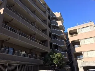 日神パレステージ井の頭公園西館の画像