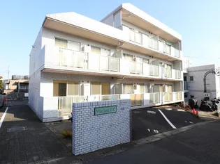 バイオレットP Cの画像