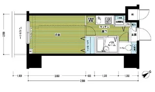 フェニックス新横濱イクシール【10階】の間取り