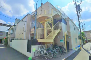 CHRYSANTHEMUM WASEDAの画像