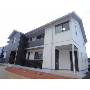 アスターの画像