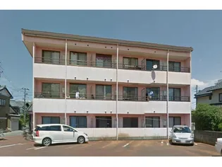 アネックス ティの画像